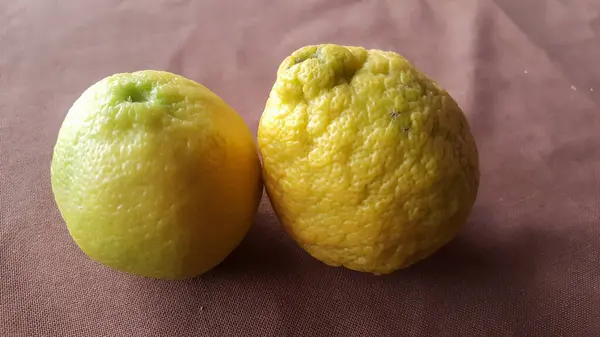 Eine Grüne Reife Zitrone — Stockfoto