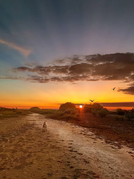 Epic View Sunset Panoramic — Stock Photo, Image