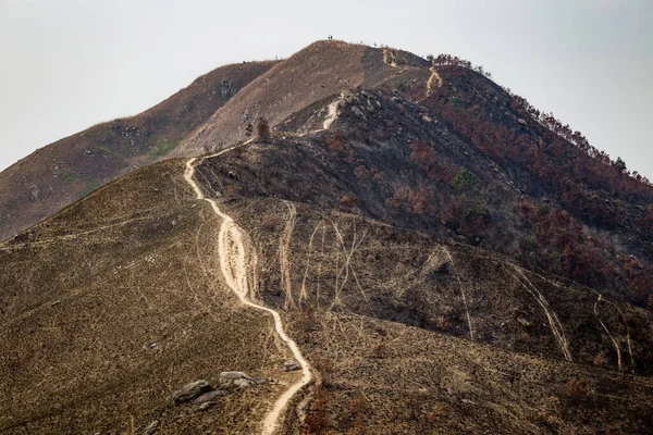 Kai Kung Ling 'de yürüyüş, Hong Kong
