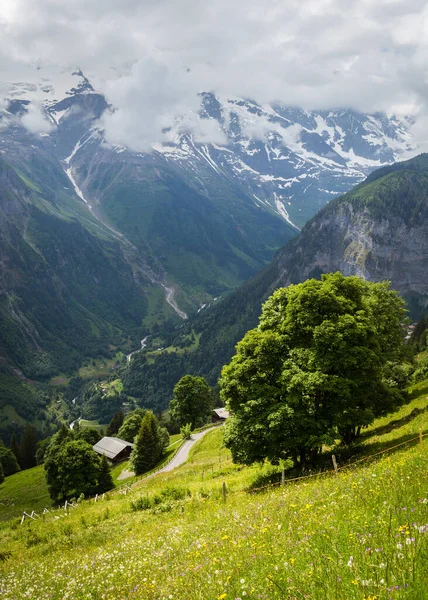 Una Impresionante Colección Paisajes Suiza — Foto de Stock