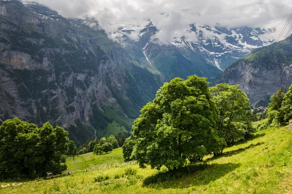 Una Impresionante Colección Paisajes Suiza — Foto de Stock