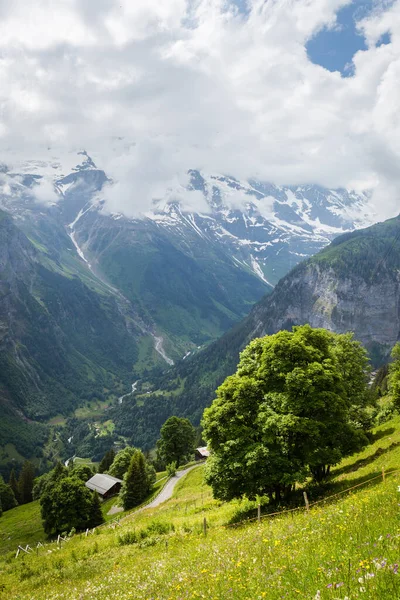 Una Impresionante Colección Paisajes Suiza — Foto de Stock