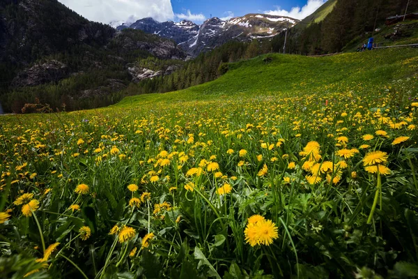 Úžasná Sbírka Krajiny Švýcarsku — Stock fotografie