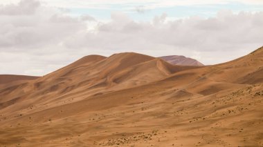 Çin 'deki Gansu gezisinin koleksiyonu.