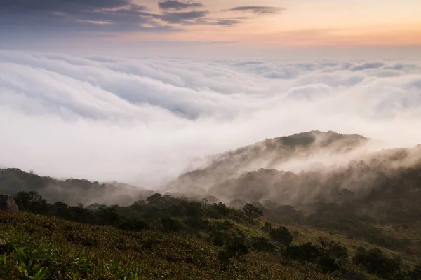 Hong Kong, Tai Mo Shan 'da bulutların yükseldiği görkemli bir gün doğumu.