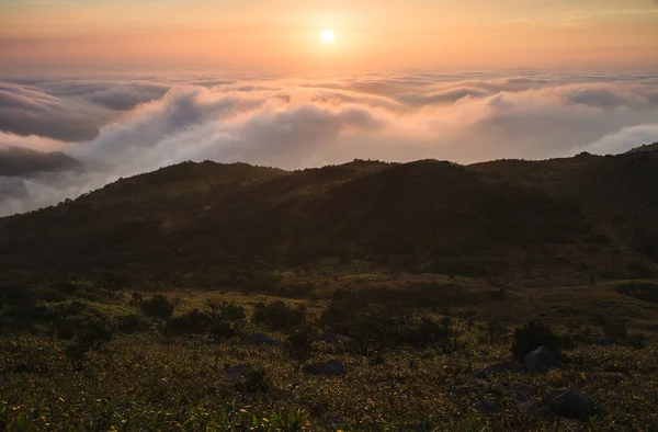 Hong Kong, Tai Mo Shan 'da bulutların yükseldiği görkemli bir gün doğumu.