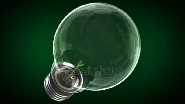 グリーン エネルギーの概念。純粋なエネルギー。電球の中に伸びて — ストック動画