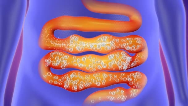 Большое количество газов в кишечнике. Большое количество газов в кишечнике. Microbiome (gut) микробиом кишечника (16s). Большое количество газов в кишечнике. Большое количество газов в кишечнике.