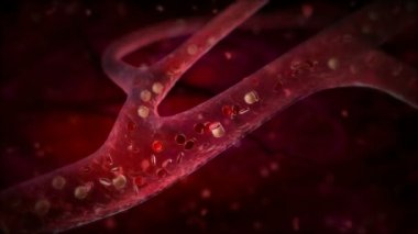 Kırmızı kan hücreleri aşağı boşuna akan veya arter. HD