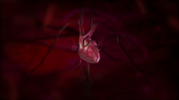 Cœur Bat Vite Animation Avec Son Battement Cœur — Video