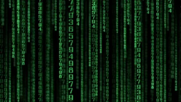 Dataströmmen Matrix Vertikalt Rullande Siffror Loopable — Stockvideo