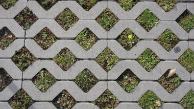 Çimento yapısının ortasında sarı bir çiçek.