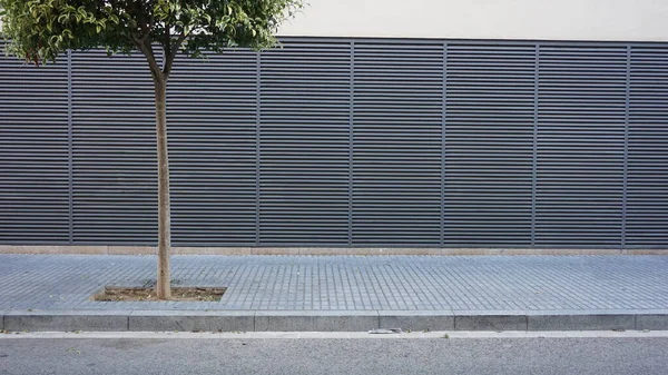 Şehir merkezinde insanlar ve bir ağaç olmadan.