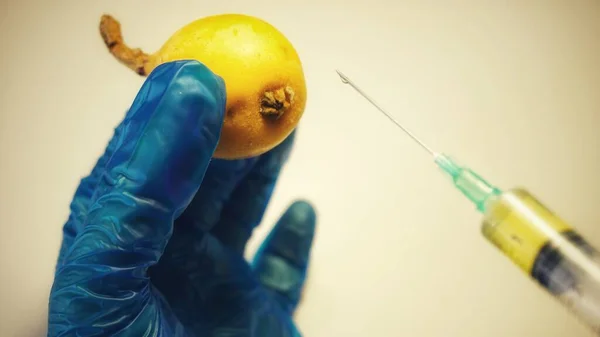 surgical needle injecting substance into fruit against white background