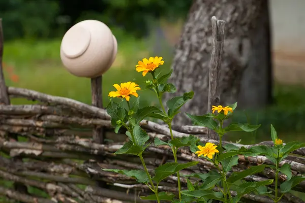 Y tarafından çevrili willow çit asılı vantage seramik toprak kap