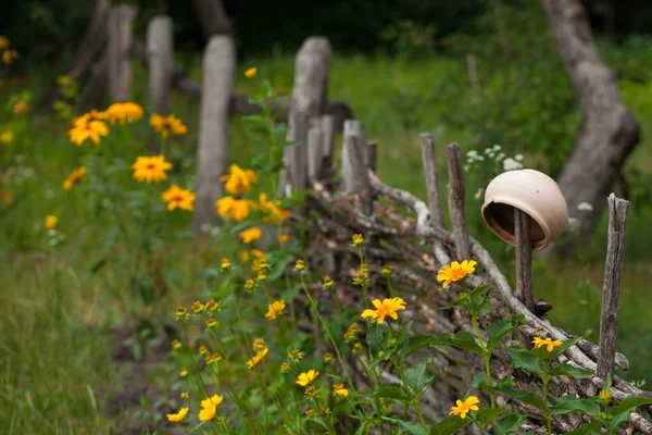 Y tarafından çevrili willow çit asılı vantage seramik toprak kap