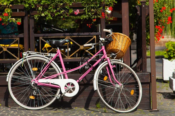 pembe Bisiklet Park iç süslemeleri