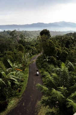 Dağlarda yol ve tepeden orman manzarası