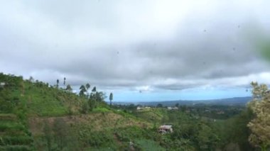 Yükseklerden dağların manzarası, rüzgarda sallanan çimenler ve yoldaki arabalar.