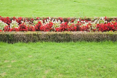 Onun renk ince manikürlü Bahçe gösterir