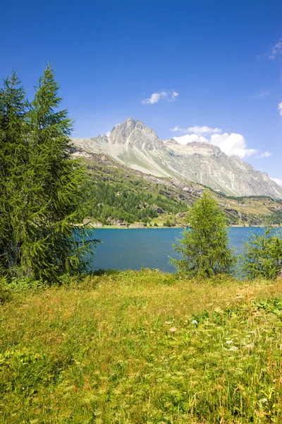 Switzerland landscape around Sils Llake in the Upper Engadine valley — Stock Photo, Image