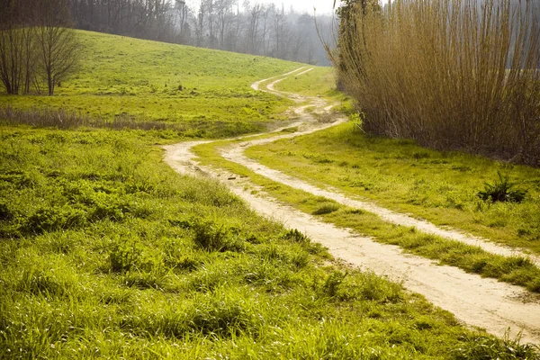 Tuscany winding road. Typical roads of the Tuscany countryside ( — Stock Photo, Image