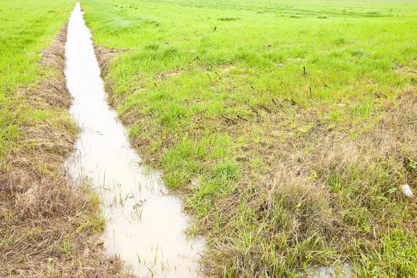 Voller Wassergraben auf einem Feld nach sintflutartigem Regen — Stockfoto