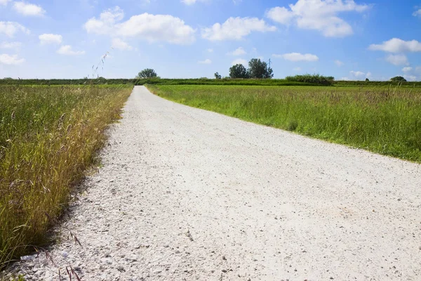 Typische Tuscany platteland weg genaamd "witte weg" (Italië) — Stockfoto