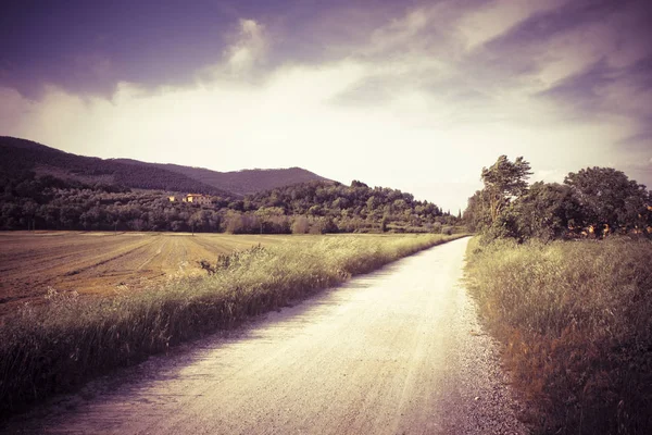 Pathway in Tuscany countryside (Italy) — Stock Photo, Image