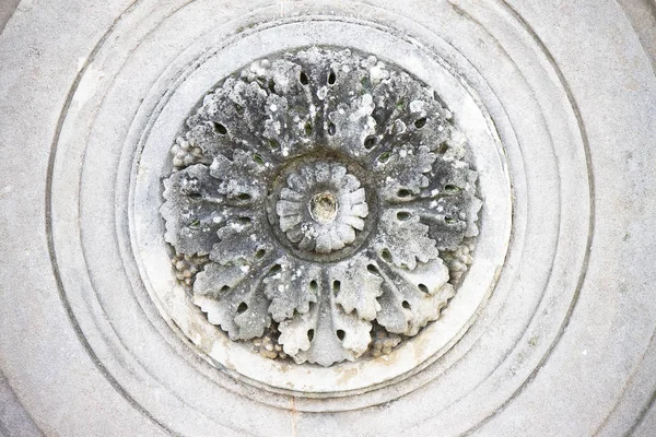 刻まれた円形石造りの花の詳細 — ストック写真