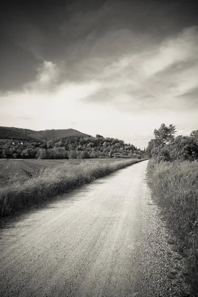 Tipical Tuscany country road called "white road" (Italy) — Stock Photo, Image