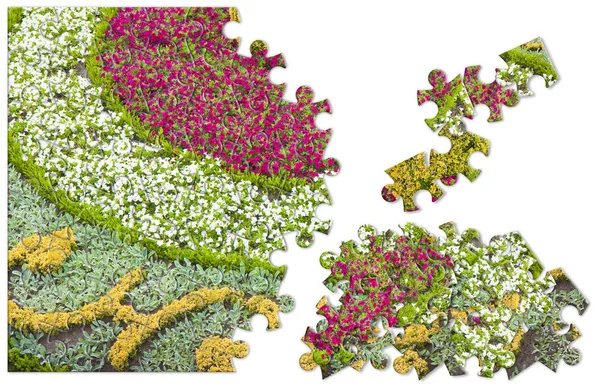 細かく治癒 - 花壇パズル図形のコンセプト イメージ — ストック写真