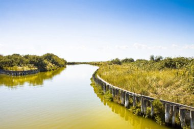 Comacchio vadiler (İtalya) bilinen dünya çapında yılan balığı avlamaya - Unesco koruma alanı