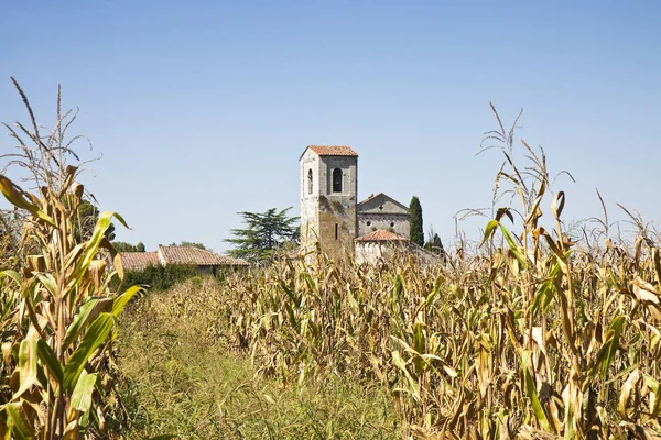 Toscane Romaanse kerk ondergedompeld in een maïsveld — Stockfoto