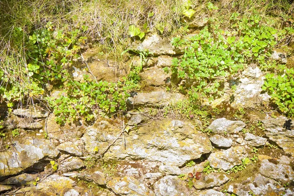 Muro Terraplén Construido Con Bloques Piedra — Foto de Stock