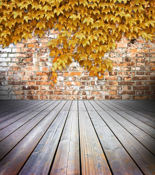 Pisos Madeira Com Parede Tijolo Fundo Coberto Com Hera Dourada — Fotografia de Stock