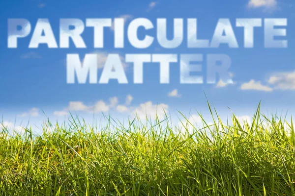 Particulate Matter (PM) concept image against a green wild grass — Stock Photo, Image