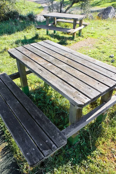 Yeşil bir çayırda piknik masası. Arka planda zeytin ağaçları