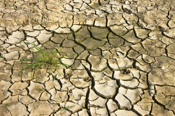 Terres stériles brûlées par le soleil — Photo