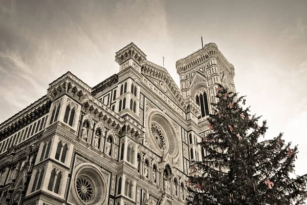 Slavná katedrála ve Florencii (San Mary) s vánoční tre — Stock fotografie