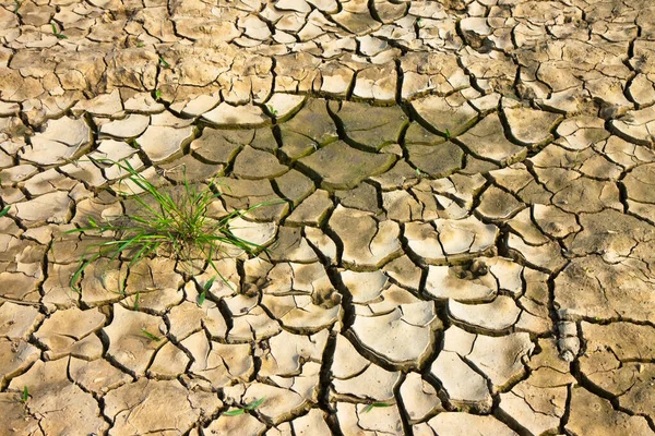 Infertile Land Burned Sun Famine Poverty Concept — Stock Photo, Image