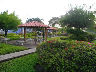 Güzel park küçük doğanın tüm unsurlarını içerir. 