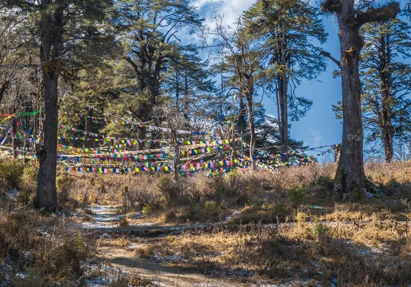 Traditionelles Gebet Tibetisch Buddhistische Flaggen Lung Auf Dem Dochula Pass — Stockfoto