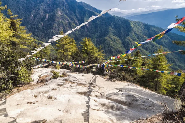 Prière Traditionnelle Drapeaux Bouddhistes Tibétains Lung Sur Chemin Taktshang Goemba — Photo