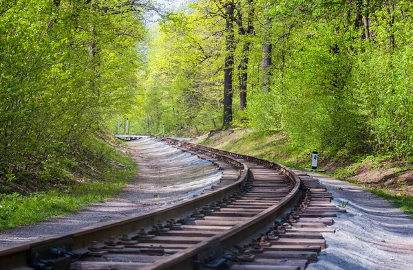 Pojedynczy Tor Kolejowy Przez Las Wiosną Jasne Zielone Świeże Wiosenne — Zdjęcie stockowe