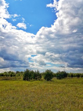 Ormanın üzerinde güzel beyaz bulutlar