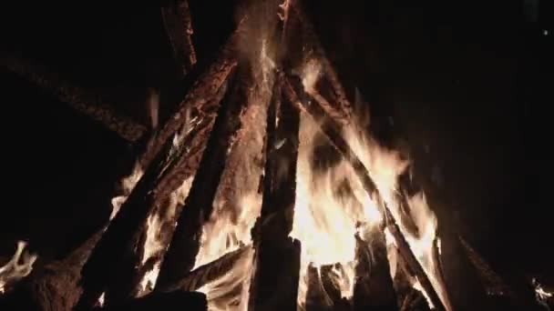Oheň hoří stromy v noci. Táborák hoří jasně, teplo, světlo, táboření, velký táborák, zblízka táborák plameny táborového ohně, hořící dřevo — Stock video