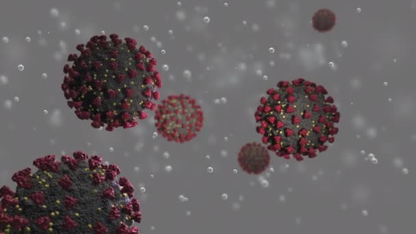 Abstraktní 3D animace buněk viru — Stock video