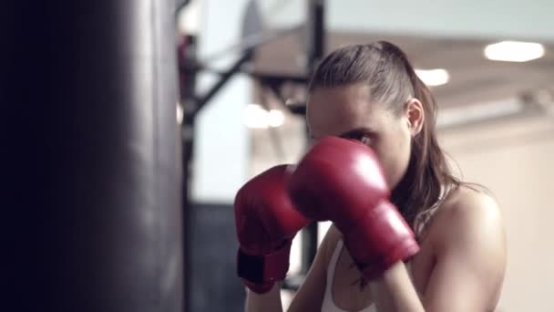 여자 권투 선수가 권투 스튜디오에서 거대 한 펀치 백을때리고 있어요. 열심히 훈련하는 여자 권투 선수. — 비디오