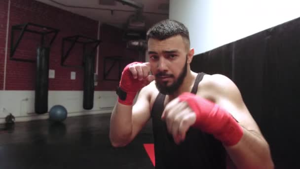 Född att slåss. Stark man i sportkläder boxning med skugga. självsäker idrottare kasta krok i boxning gym — Stockvideo